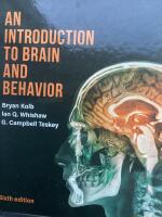 Introduction to Brain and Behavior