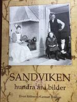 Sandviken : hundra &aring;r i bilder