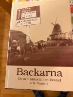 Backarna : liv och historia i en f&ouml;rstad
