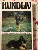 Hundliv