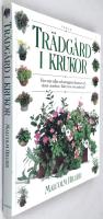 Tr&auml;dg&aring;rd i krukor - Hur man odlar och arrangerar blommor och v&auml;xter utomhus i l&aring;dor, krus och andra k&auml;rl