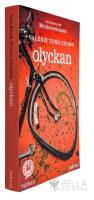 Olyckan