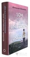 Som universum, ungef&auml;r : en sl&auml;ktroman