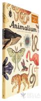 Animalium - V&auml;lkommen till Museet