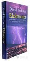 Elektricitet : Historien om universums m&auml;ktigaste kraft