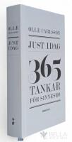 Just idag : 365 tankar f&ouml;r sinnesro