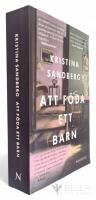 Att f&ouml;da ett barn - Romanen om Maj - Bok 1