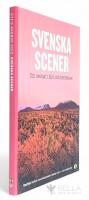 Svenska scener - Om reslust i bild och ber&auml;ttelse 