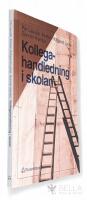 Kollegahandledning i skolan