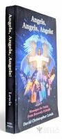 Angels, Angels, Angels! Messages for Today from Heavenly Friends 