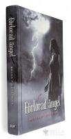 F&ouml;rlorad &auml;ngel - Fallen &auml;ngel - Bok 2