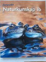 Synpunkt 1b