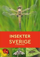 Insekter i Sverige & Nordeuropa