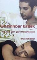On&auml;mnbar k&auml;rlek : att leva som gay i Mellan&ouml;stern