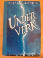 Underverk : en roman i ord och bilder