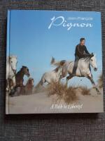 Jean-Fran&ccedil;ois Pignon A path to liberty