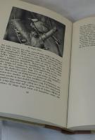 Svenskt f&aring;gelliv