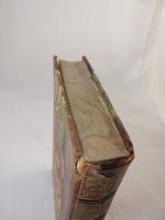 Ljuset som f&ouml;rsvann