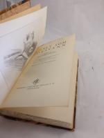 Ljuset som f&ouml;rsvann