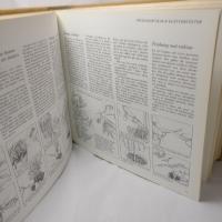 Vackrare tr&auml;dg&aring;rd