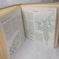 Vackrare tr&auml;dg&aring;rd