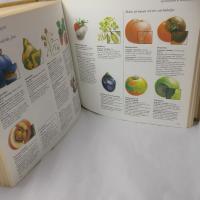 Vackrare tr&auml;dg&aring;rd