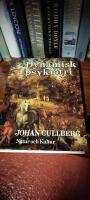 Dynamisk psykiatri i teori och praktik