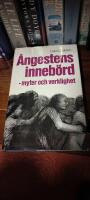 &Aring;ngestens inneb&ouml;rd : myter och verklighet
