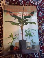Allt om krukv&auml;xter, Plantera k&auml;rnor