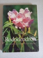 Rododendron : arter, hybrider, samplanteringsv&auml;xter och sk&ouml;tselr&aring;d