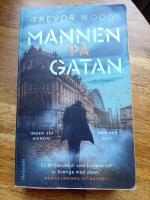 Mannen p&aring; gatan