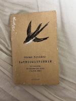 Barndomsbrunnen : en historia om sjukdom och minne i brutna rader