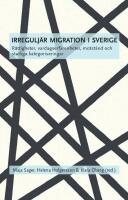 Irregulj&auml;r migration i Sverige : r&auml;ttigheter, vardagserfarenheter, motst&aring;nd och statliga kategoriseringar