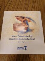 1600-1700-talsarkeologi i kvarteret Bj&ouml;rnen i Karlstad