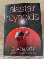 Chasm city