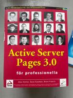 Active Server Pages 3.0 f&ouml;r professionella