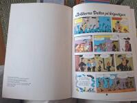 Br&ouml;derna Dalton p&aring; krigsstigen