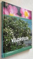 Vildrosor