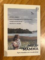 Mer än mamma - fyra noveller om moderskap