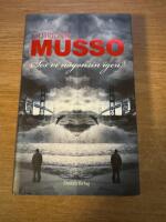 Ses vi n&aring;gonsin igen?