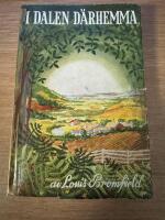 I dalen d&auml;rhemma