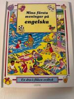 Mina f&ouml;rsta meningar p&aring; engelska : [en dra-i-fliken ordbok