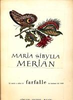 12 tavole a colori di farfalle da incisioni del 1699