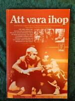 Att vara ihop : om ungdom och sexualitet