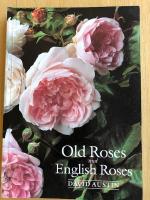 Old Roses and English Roses
