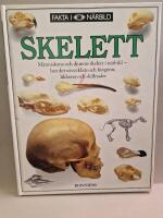Skelett : [m&auml;nniskans och djurens skelett i n&auml;rbild, hur det utvecklats och fungerar, likheter och skillnader]