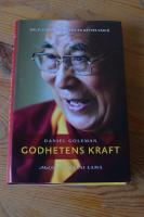 Godhetens kraft : Dalai Lamas vision f&ouml;r en b&auml;ttre v&auml;rld