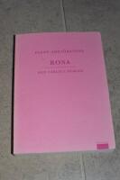 Rosa : den farliga f&auml;rgen