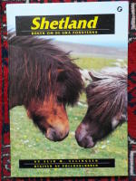 Shetland Boken om de sm&aring; ponnyerna