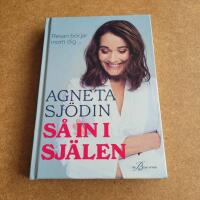 S&aring; in i sj&auml;len